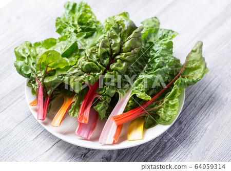 Swiss Chard 64959314