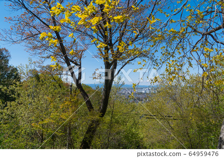Hirayama Castle Ruin Park (Hino City, Tokyo) 64959476