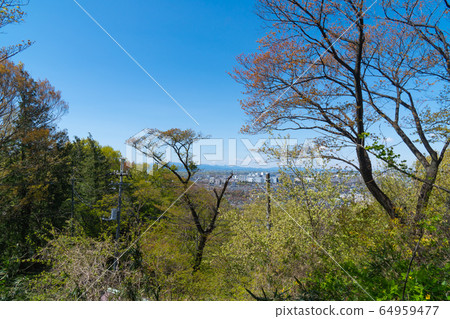 平山城跡公園(東京都日野市) 平山城跡公園(東京都日野市) 64959477
