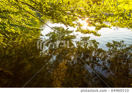Plitvice Lakes, Croatia Waterfall. Amazing Place. Plitvice Lakes, Croatia Waterfall. Amazing Place. 64960510