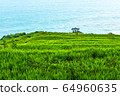南海G川Bon魚村 64960635