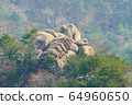 加雅岩層 64960650