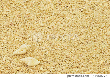 [Shell] (depth synthesis) 64960776