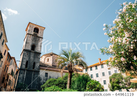 Church of St. Mary Collegiate at summer in Kotor, Montenegro 64961119