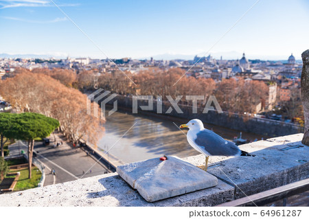 Roman cityscape and sea gull Giovanni Roman cityscape and sea gull Giovanni 64961287