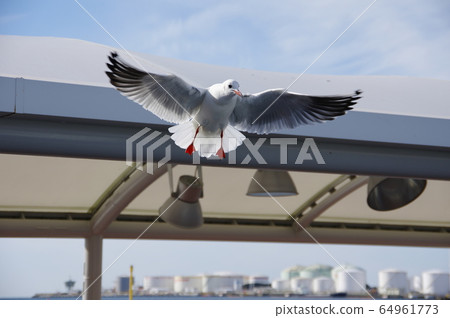 新橋 新橋 64961773