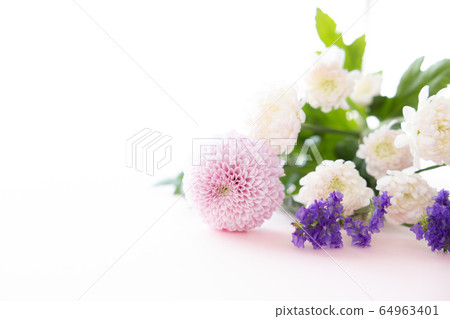 切花菊花為背景 切花菊花為背景 64963401