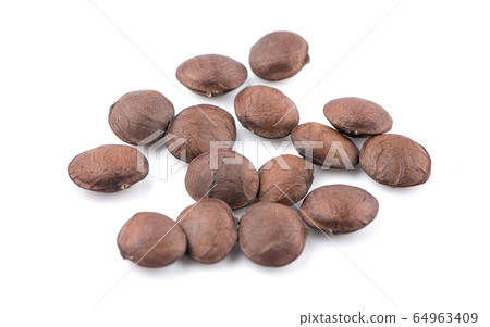 Nuts Incas , sacha inchi peanut seed an isolated Nuts Incas , sacha inchi peanut seed an isolated 64963409