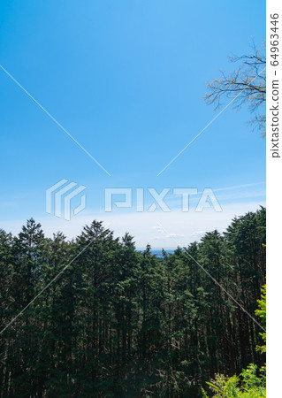 Monomi山(平和山遠足路線) Monomi山(平和山遠足路線) 64963446