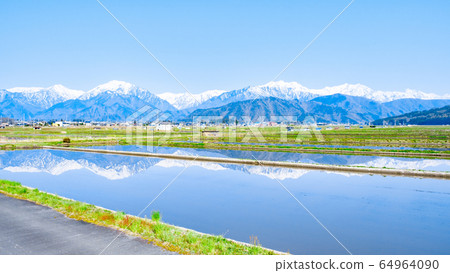 水原田和北阿爾卑斯山（大町市）的風景 64964090