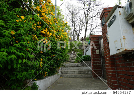 胡同城陵洞城北區 64964187