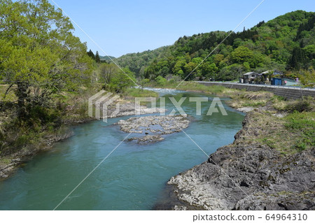 早春山間溪流融雪水 64964310