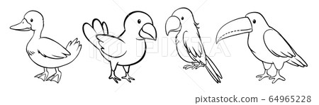 Set of bird outline Set of bird outline 64965228