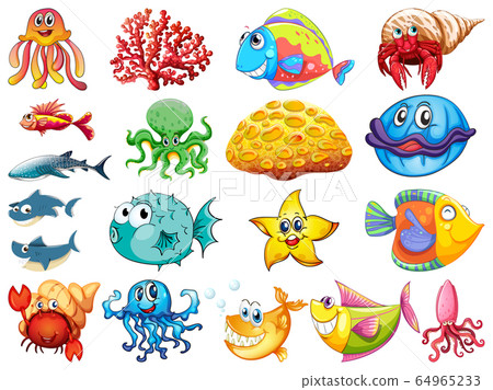 Large set of many sea creatures on white 64965233