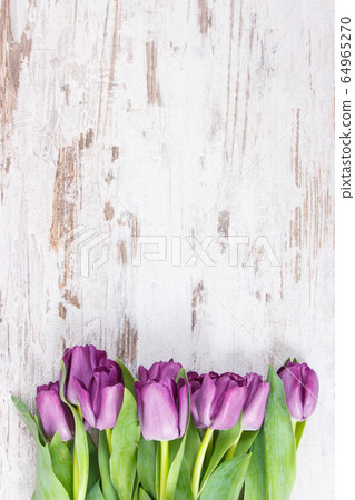 Bouquet of purple tulips for different occasions 64965270