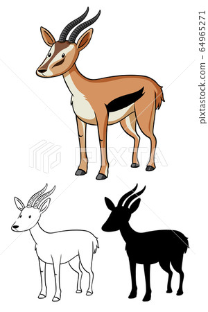 Set of gazelle cartoon Set of gazelle cartoon 64965271