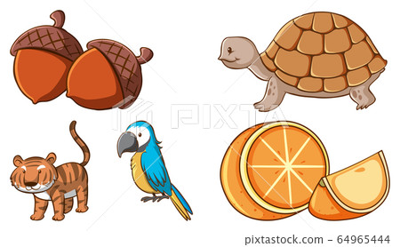 Large set of different animals and other objects Large set of different animals and other objects 64965444