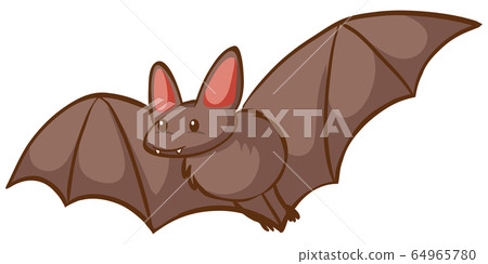One bat flying on white background One bat flying on white background 64965780