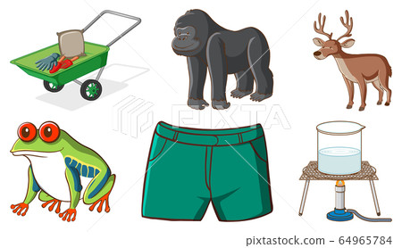 Large set of different animals and other objects Large set of different animals and other objects 64965784
