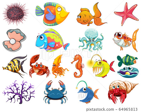 Large set of sea creatures on white background 64965813