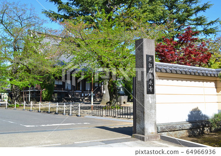 台東區上野櫻櫻神內寺內本中堂 台東區上野櫻櫻神內寺內本中堂 64966936