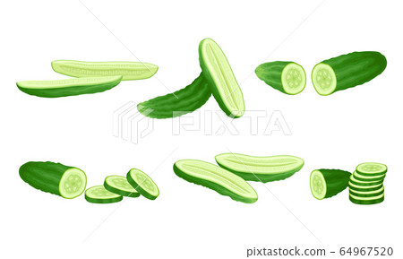 Green Cucumber Sliced Showing Flesh with Seeds Vector Set 64967520