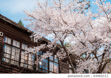 Shinka Elementary School (Spring) Shinka Elementary School (Spring) 64968311