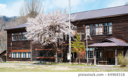 申卡小學(春季) 申卡小學(春季) 64968316