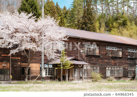 Shinka Elementary School (Spring) 64968345