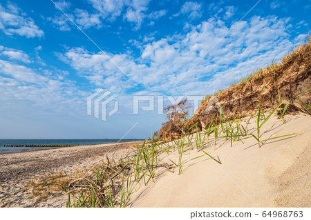 Landscape on shore of the Baltic Sea Landscape on shore of the Baltic Sea 64968763