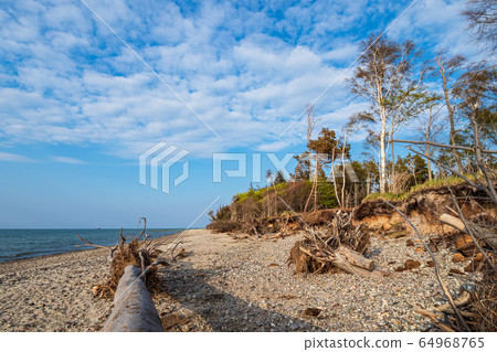 Landscape on shore of the Baltic Sea Landscape on shore of the Baltic Sea 64968765
