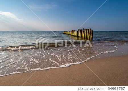 Groynes on shore of the Baltic Sea 64968767