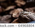 wedding ring 64968804