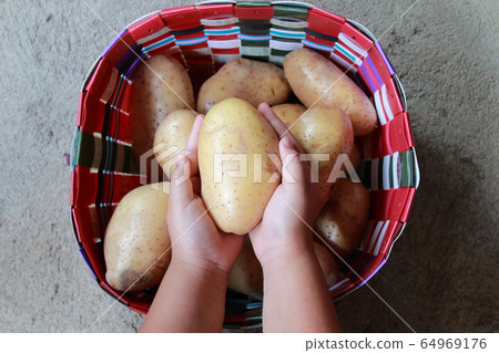 A Potato on the hands of children A Potato on the hands of children 64969176