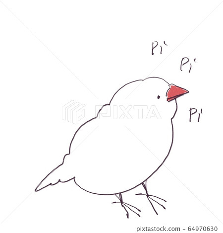 鳥在白色背景上側身唱歌(顏色) 鳥在白色背景上側身唱歌(顏色) 64970630