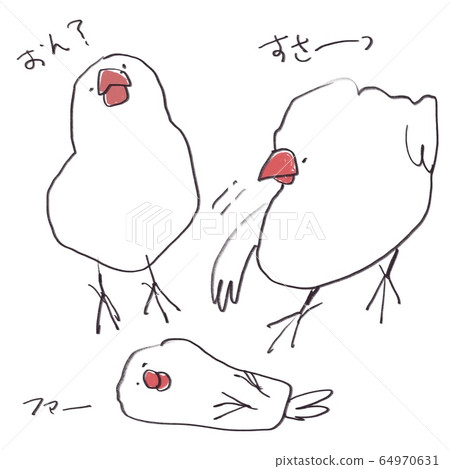 套在白色背景上的三種鳥類 64970631