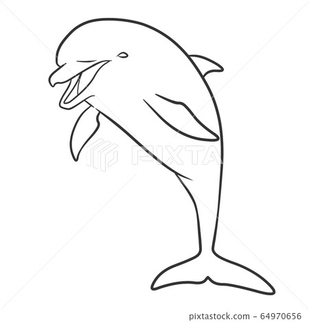 海豚 海豚 64970656