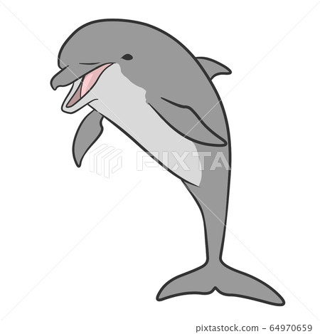 海豚 海豚 64970659