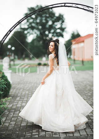 Beauty portrait of bride wearing fashion wedding dress with feathers with luxury delight make-up and hairstyle Beauty portrait of bride wearing fashion wedding dress with feathers with luxury delight make-up and hairstyle 64971023