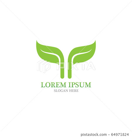 Leaf nature logo vector 64971824