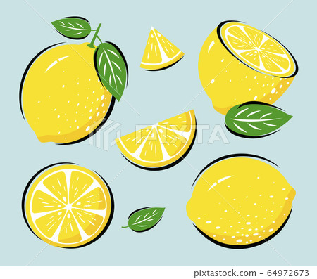 Yellow lemon with leaves vector illustration 64972673