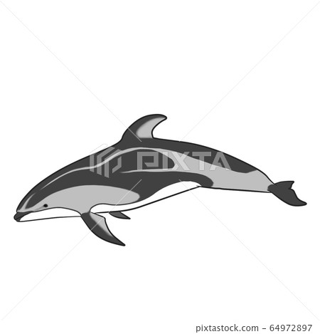 Bamboo dolphin Bamboo dolphin 64972897