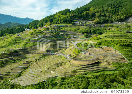 Mie Prefecture Maruyama Senmaida In Early Summer Stock Photo