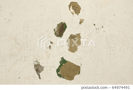 Wall paint peeling off due to moisture Wall paint peeling off due to moisture 64974491