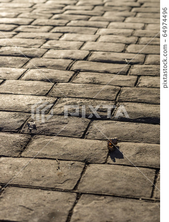 Stamped concrete pavement outdoor, mimics cobblestones pattern, decorative appearance colors and textures of paving cobble stone 64974496