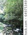 Summer stream-in the forest 64975349