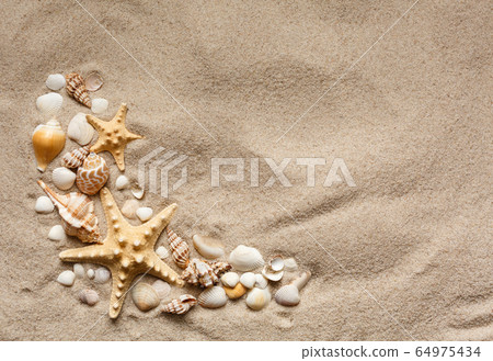 Beautiful seashells on sand beach. Summer holidays 64975434
