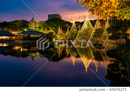 Aichi Prefecture, Nagoya City, Shirotori Garden, snow-capped evening view, illuminated autumn leaves Aichi Prefecture, Nagoya City, Shirotori Garden, snow-capped evening view, illuminated autumn leaves 64976271