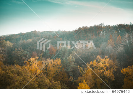 Multicolor Autumn Landscape Of Autumn Forest 64976443