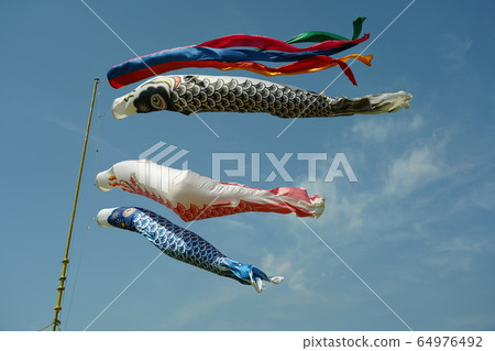 鯉魚stream在藍藍的天空中游泳 鯉魚stream在藍藍的天空中游泳 64976492